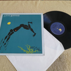 STEVE WINWOOD - Arc Of A Diver LP - pikkukuva 1