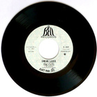 THE CATS: Swan lake / Swing low PROMO - pikkukuva 1