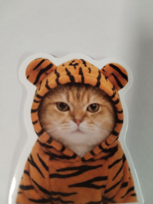Kissa tarra.