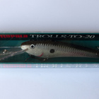 RAPALA "TROLLS-TO-20" 11cm, 18g Väri: S Silver - pikkukuva 2