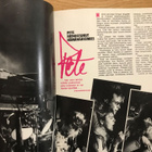 Dingo: Kaikki huutaa Dingooo fanilehti, Gummerus, 1985 - pikkukuva 4