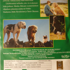 KOTIA KOHTI 1 - 2 DVD  SUOMIPUHE - pikkukuva 2