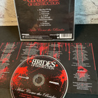BRIDES OF DESTRUCTION: Here Come The Brides Lp levy - pikkukuva 2