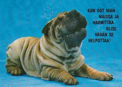 Postikortti, Eläinaihe, eläimet ,koira