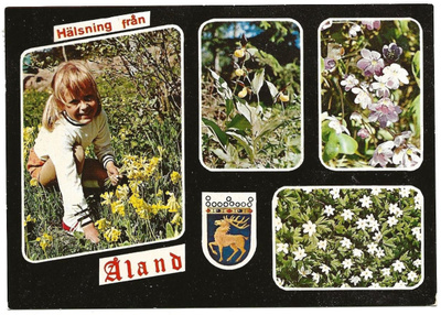 Hälsning från Åland (1973)