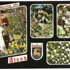 Hälsning från Åland (1973) - pikkukuva 1
