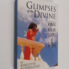 Birgitte Rodriguez : Glimpses of the Divine - Working wit... - pikkukuva 1