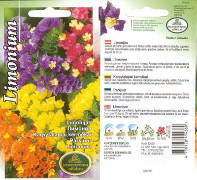 Ikiviuhko 'Limonium' - siemenet #