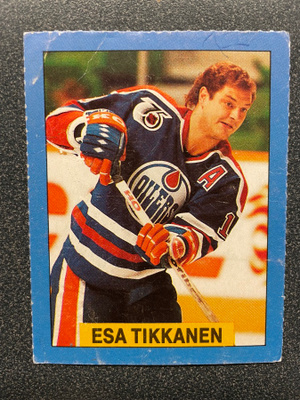 Esa Tikkanen KOULULAINEN