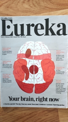 THE TIMES LEHTILIITE EUREKA ( YOUR BRAIN ) 2010