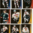 2004/05 Pure Skills Gold /100 - pikkukuva 2