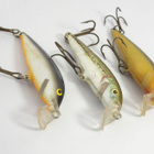 Rapala