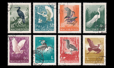 Unkari 1593-600 o Vesilintuja (1959)