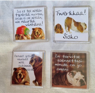 Englanninbulldoggi jääkaappimagneetit osa 2