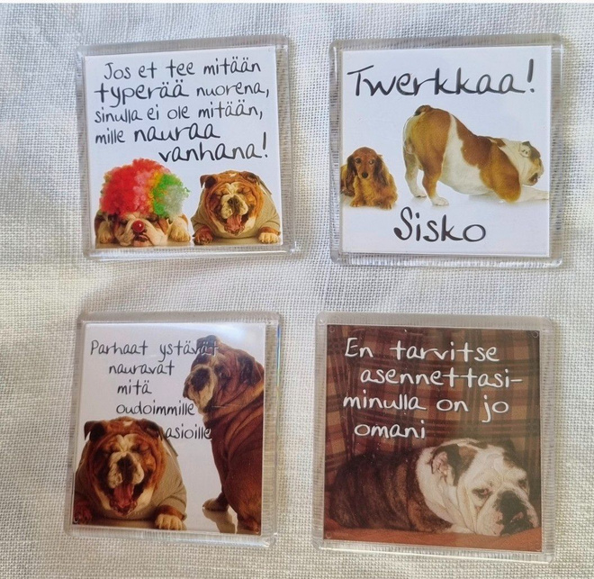 Englanninbulldoggi jääkaappimagneetit osa 2