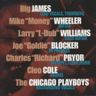 Big James & The Chicago Playboys: The Big Payback Live - pikkukuva 3