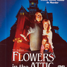 Flowers in The Attic - DVD - pikkukuva 1