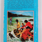 Enid Blyton : Viisikko joutuu ansaan - pikkukuva 2