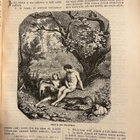 Perheraamattu 1893 uusi ja Vanha testamentti - pikkukuva 5