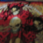 FIVE FINGER DEATH PUNCH - WAY OF FIST KAHDELLA NIMMARILLA CD - pikkukuva 2