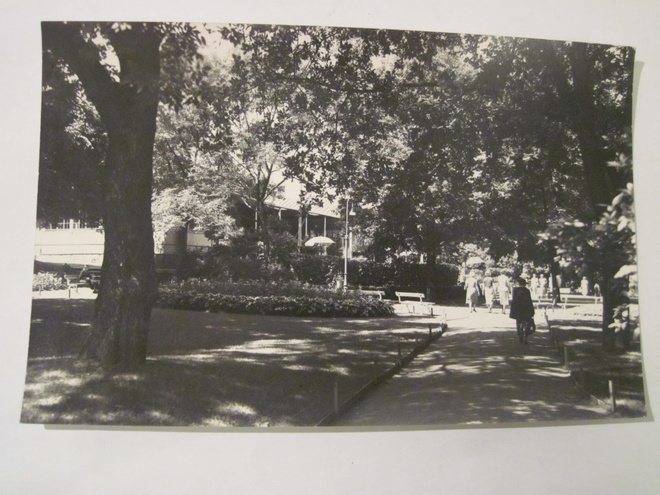 VANHA Postikortin Alkup.Mallikappale Viipuri 1920-l