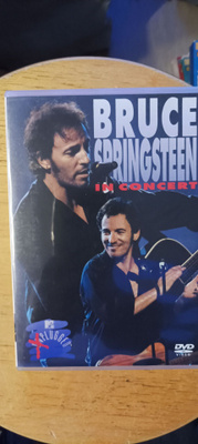 Bruce Springsteen in concert