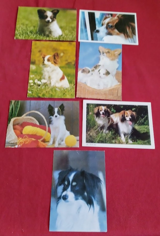 7 PAPILLON POSTIKORTTIA