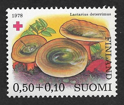 Punainen risti 1978 0,50+0,10mk (LAPE 829) **