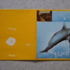 A.E. Bizottsag, Jégkrémbalett LP (1984) - pikkukuva 1