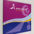 Marja Leivo : Aplodit juhlalehti 2010 : Aplodit orkesteri... - pikkukuva 1