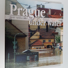 Harald Salfellner : Prague Under Water - pikkukuva 1