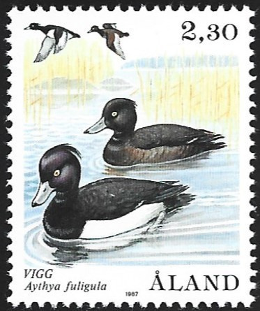 Åland 1987 Lintusarja Tukkasotka 2,30 mk ** LaPe 021