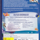 Nemoa etsimässä - 2 levyn erikoisjulkaisu (Pixar DVD K7) - pikkukuva 2