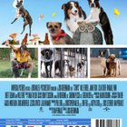 doggy style (2023) (1 045) UUSI -FI- DVD nordic, suuri kuse - pikkukuva 3