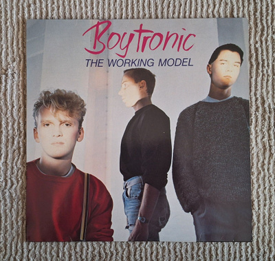 Boytronic - The Working Model