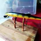 Rapala floating 12cm Ireland - pikkukuva 2