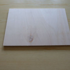 Uusi abstrakti puutaulu 20 cm x 30 cm - pikkukuva 2
