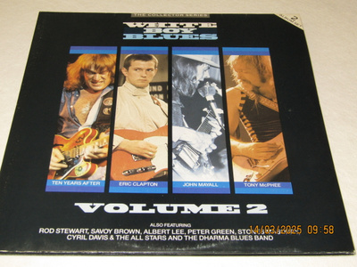 *2LP* VARIOUS ARTISTS White Boy Blues Volume 2