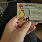 Pidgeot TV Animation Edition Blue Topps card - pikkukuva 2