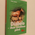 Gabi Adam : Diabolo : ihan tavallinen päivä - pikkukuva 1