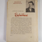 Annikki Maruna : Rajuilma : romaani - pikkukuva 2