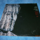 FEARGAL SHARKEY - LP - pikkukuva 2