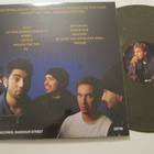 Deftones Dead On The Inside LP Värivinyyli - pikkukuva 2