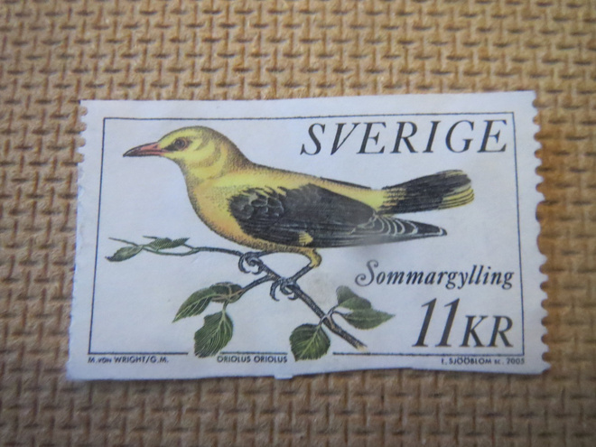 Ruotsi 2005: oriolus oriolus (sommargylling)