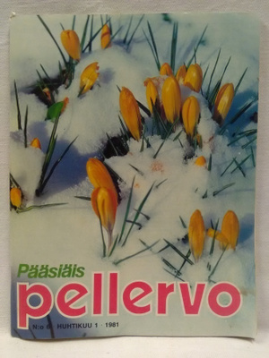 Pellervo No 6 huhtikuu 1981