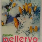Pellervo No 6 huhtikuu 1981 - pikkukuva 1