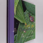 Elina Kynsijärvi : Loruja ötököistä (signeerattu) - pikkukuva 1