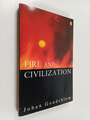 Johan Goudsblom : Fire and civilization