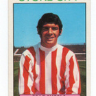 Purkkakuva Jääkiekko n:o 187 ERIC SKEELS. Stoke City - pikkukuva 1