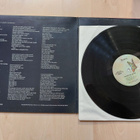 THE DOORS – WAITING FOR THE SUN orig. US   1978  LP RE - pikkukuva 3